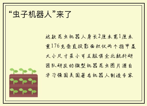 “虫子机器人”来了