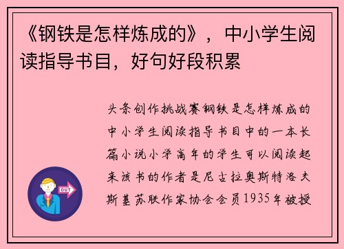 《钢铁是怎样炼成的》，中小学生阅读指导书目，好句好段积累