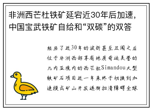 非洲西芒杜铁矿延宕近30年后加速，中国宝武铁矿自给和“双碳”的双答题